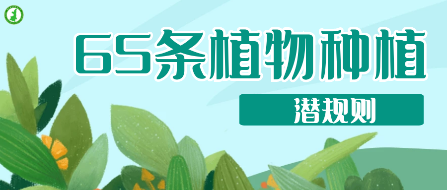 65條植物種植潛規(guī)則，園林人的血淚總結(jié) ！